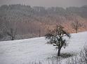 Erster Schnee ueber Feld und Wald